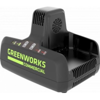 Зарядное устройство GreenWorks G82C2 2939007