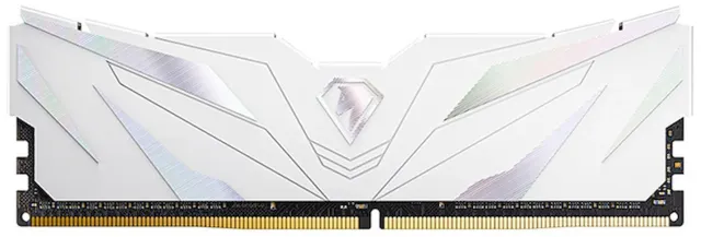 Модуль памяти Netac NTSWD4P26SP-16W