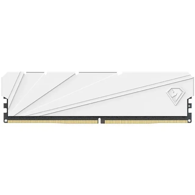 Модуль памяти Netac NTSSD4P36SP-08W
