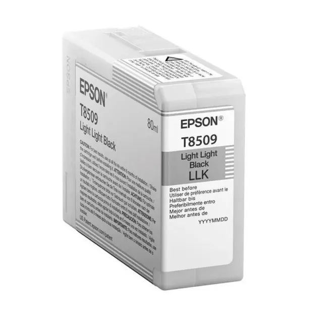 Картридж Epson C13T850900