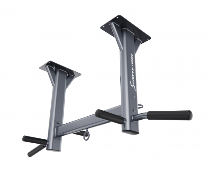 Турник потолочный DFC SPORTSTECH KS400