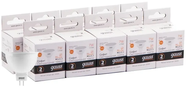 Упаковка светодиодных ламп Gauss 13517x10
