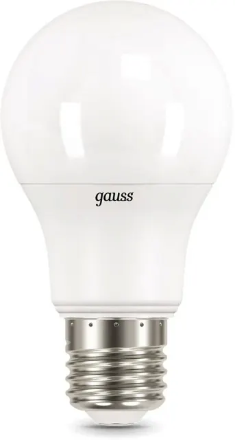Упаковка светодиодных ламп Gauss 102502207x10