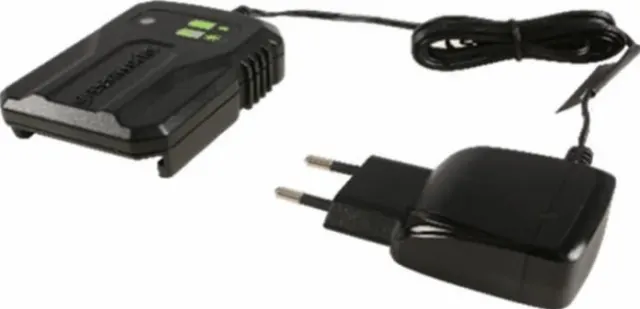 Устройство зарядное GreenWorks GW 40В 2A 2946507