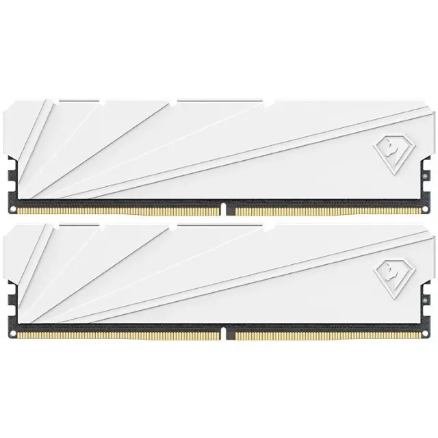 Модуль памяти Netac NTSSD4P36DP-16W