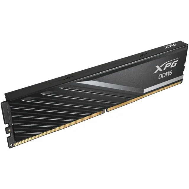 Оперативная память Adata XPG AX5U6400C3216G-DTLABBK