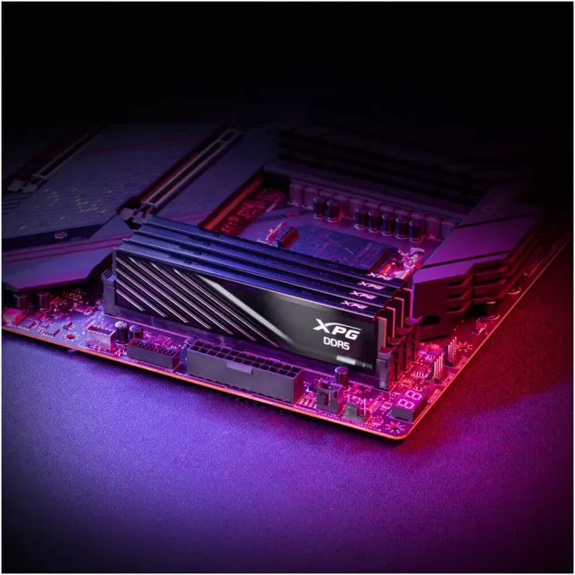 Оперативная память Adata XPG AX5U5600C4616G-DTLABBK